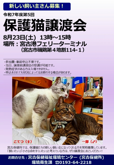 保護猫譲渡会ポスター