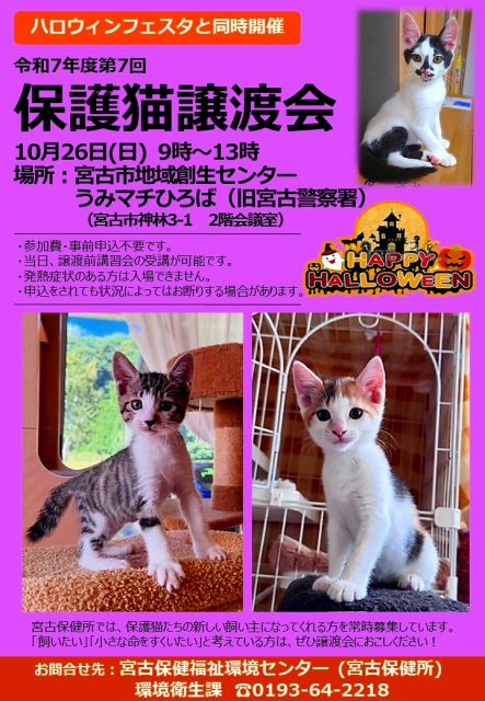保護猫譲渡会ポスター