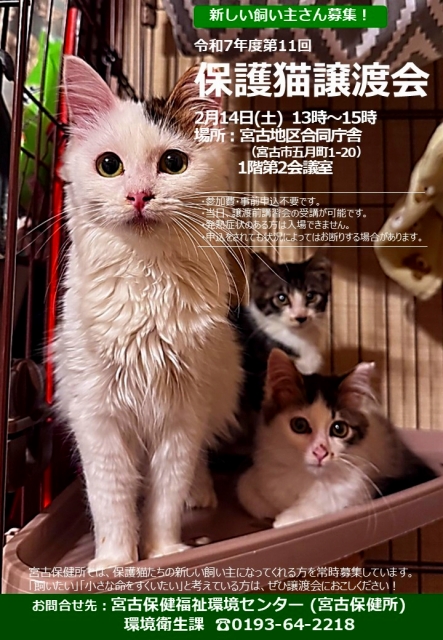 保護猫譲渡会ポスター
