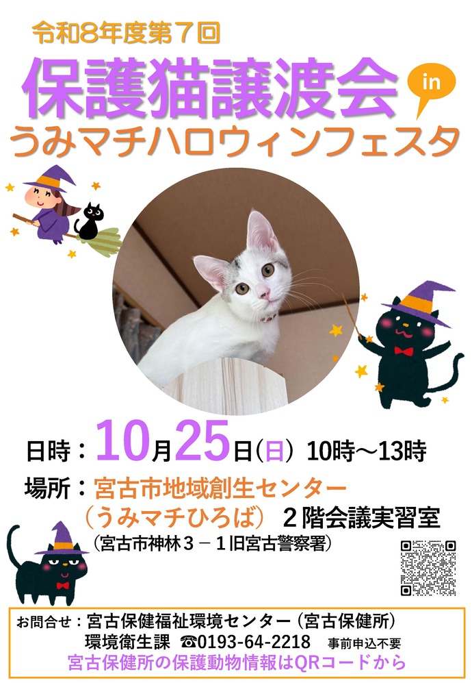 保護猫譲渡会ポスター