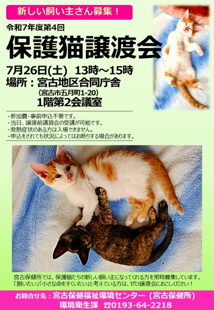 第4回保護猫譲渡会ポスター