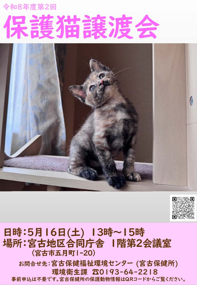 保護猫譲渡会ポスター
