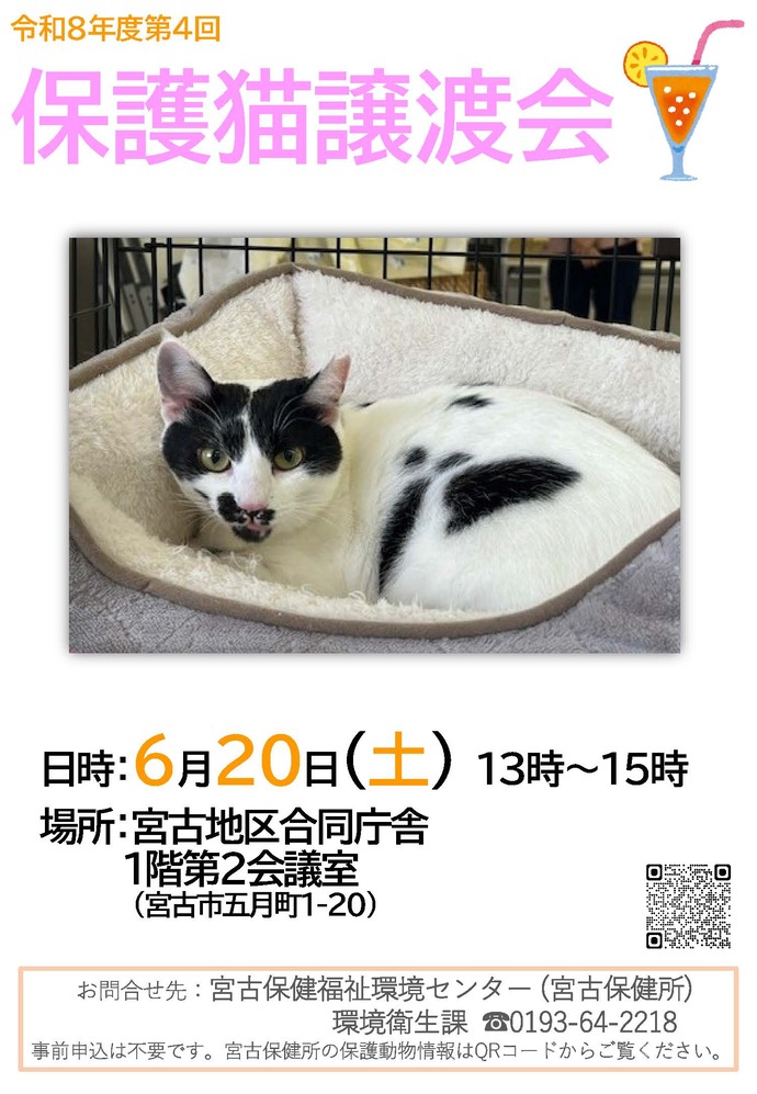 保護猫譲渡会ポスター