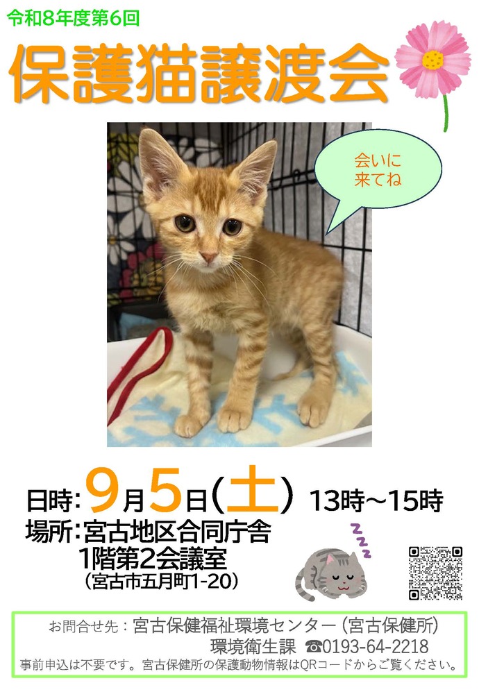 保護猫譲渡会ポスター