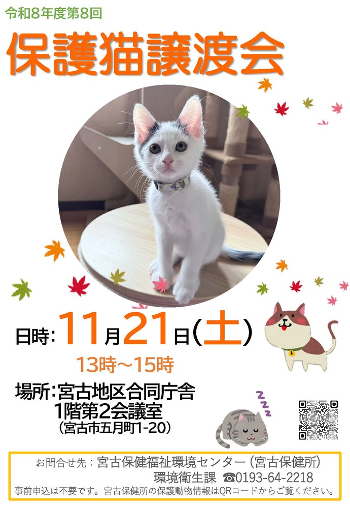 保護猫譲渡会ポスター