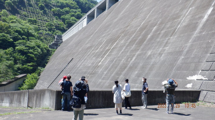 下流からダムを見上げる写真