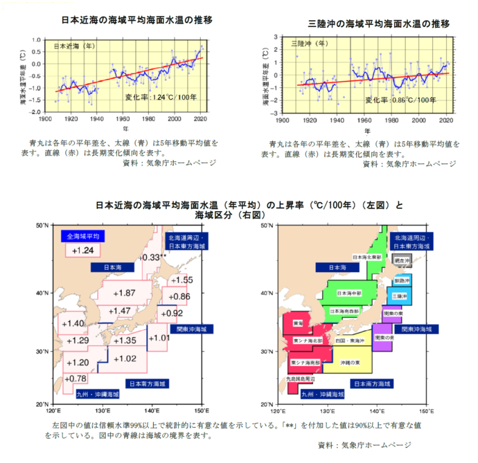 海面水温の推移