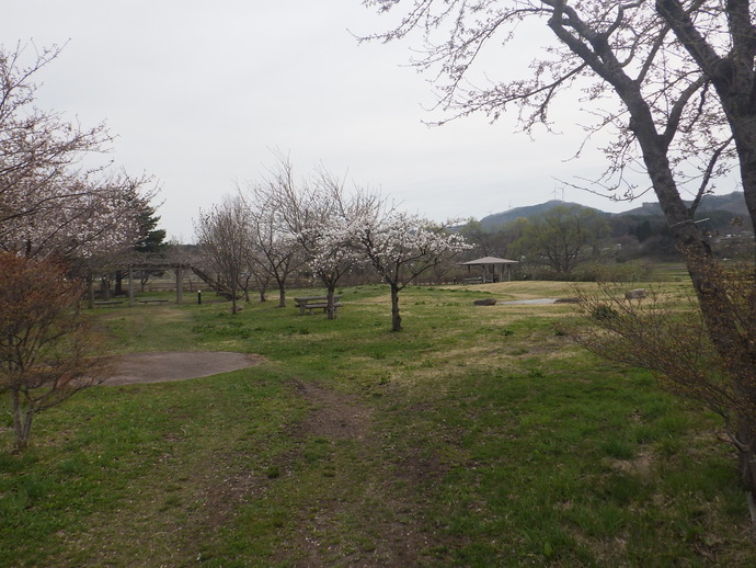 瀬月内川　山屋河川公園（九戸村）　【R6.4.17】