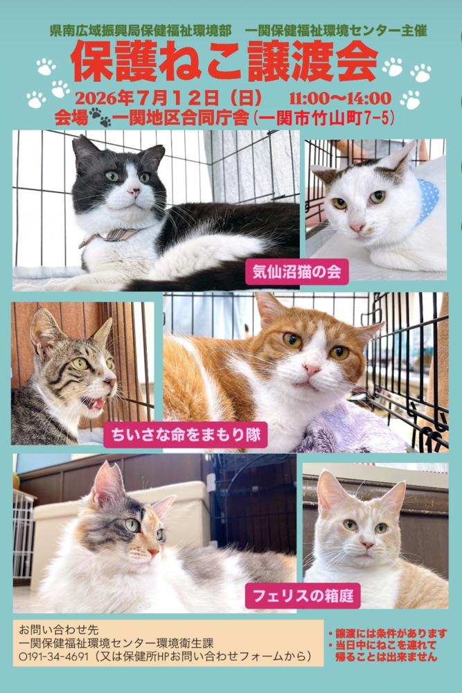 7gatuposuta-