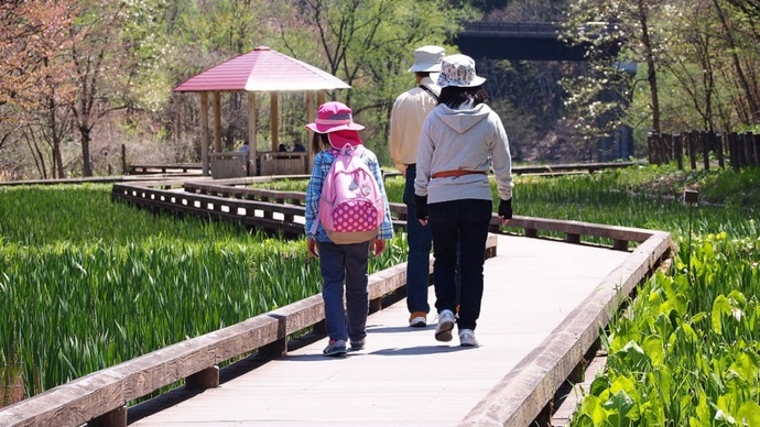 【令和7年5月26日掲載】岩手県立御所湖広域公園の尾入野湿生植物園では様々な花を楽しむことができます！