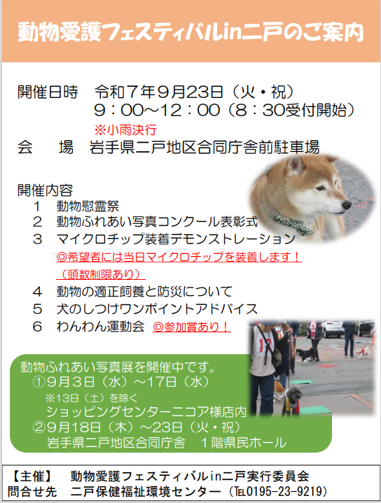 2025fes