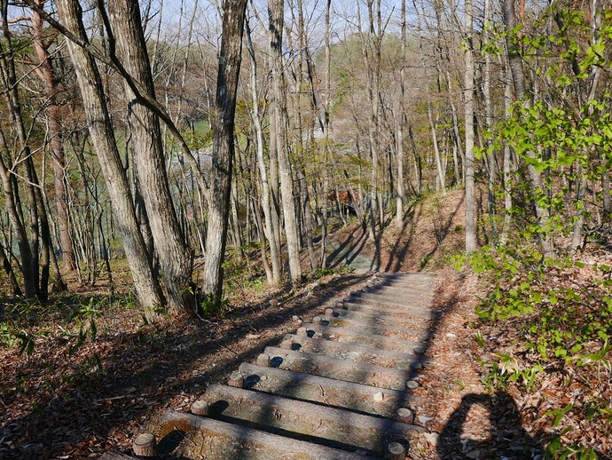 【令和7年11月17日掲載】岩手県立御所湖広域公園のさくら園の遊歩道沿いの展望台から、御所湖を一望できます！