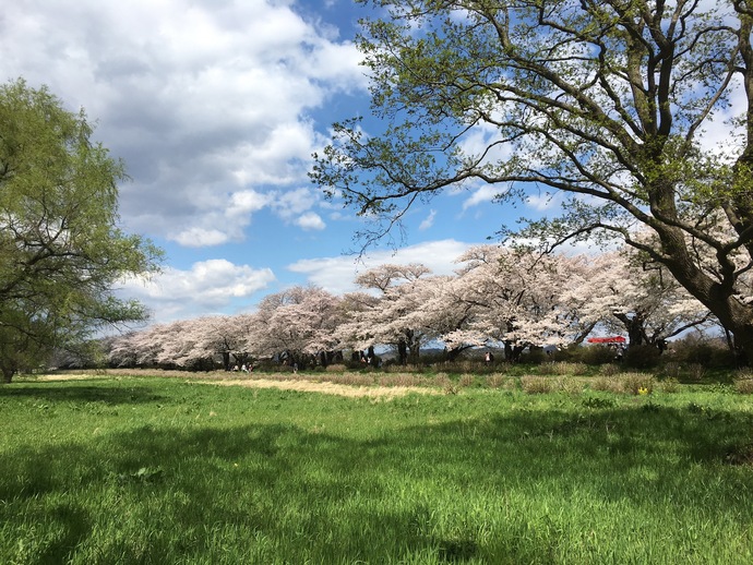 【令和8年3月27日掲載】ふるさと岩手の自然風景や歴史的文化遺産など、美しい景観を大事にしていくため「いわての残したい景観」を募集しています！