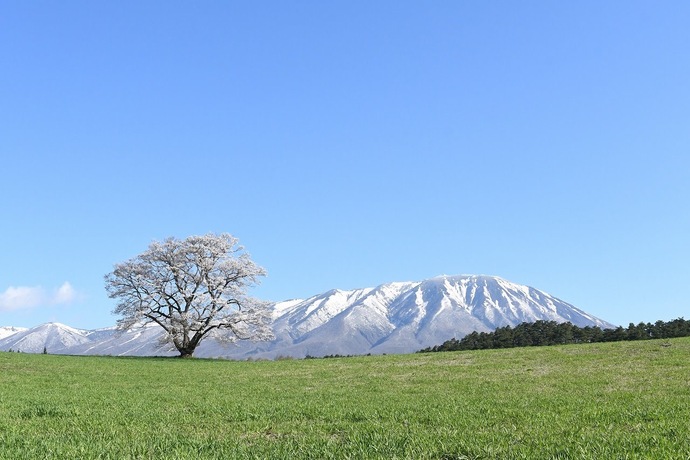 【令和8年3月23日掲載】ふるさと岩手の自然風景や歴史的文化遺産など、美しい景観を大事にしていくため「いわての残したい景観」を募集しています！