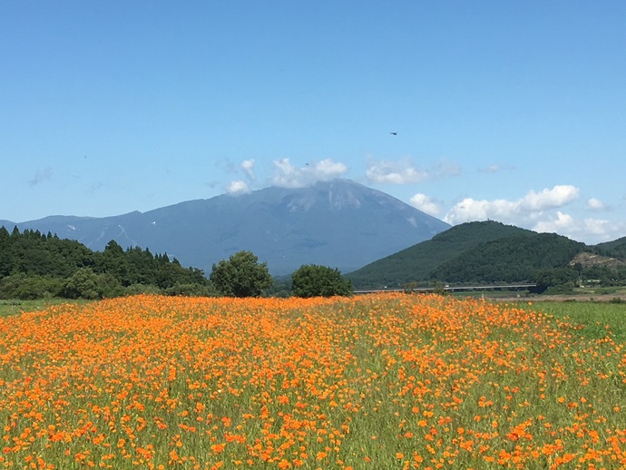 【令和7年10月17日掲載】ふるさと岩手の自然風景や歴史的文化遺産など、美しい景観を大事にしていくため「いわての残したい景観」を募集しています!