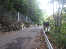 tyoudougomi
