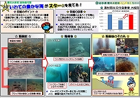 いわての 豊かな海 がスター★を育てる！