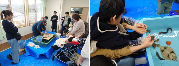 お魚タッチプールの様子