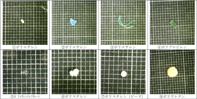 令和6年度海洋プラスチックごみ実態調査において回収されたマイクロプラスチック