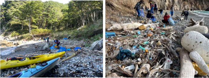 浜で漂着ゴミを回収