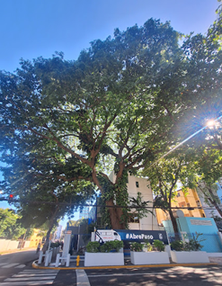 ドミニカ共和国の空