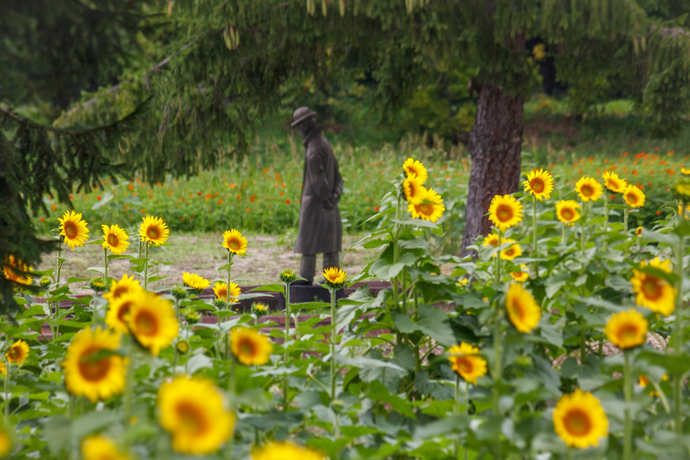 【令和8年4月6日掲載】希望郷いわて景観フォトコンテスト2025に応募いただいた作品を紹介します！～景観部門：賢治の散歩道（雫石町御所湖ファミリーランド）