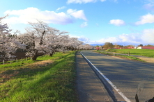 牧場の春を走る