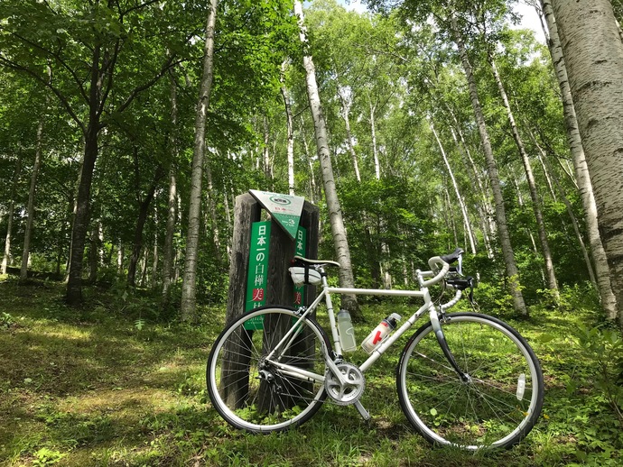 【令和8年4月9日掲載】希望郷いわて景観フォトコンテスト2025に応募いただいた作品を紹介します！～サイクリングルート部門：日本一の白樺林にて（平庭峠）