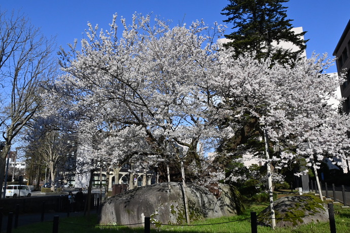 【令和8年4月10日掲載】ふるさと岩手の自然風景や歴史的文化遺産など、美しい景観を大事にしていくため「いわての残したい景観」を募集しています！