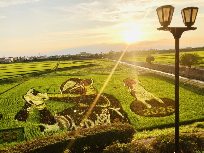 【令和8年4月13日掲載】希望郷いわて景観フォトコンテスト2025に応募いただいた作品を紹介します！～景観部門：おらほの町の大スター2025（奥州市水沢佐倉河北田）