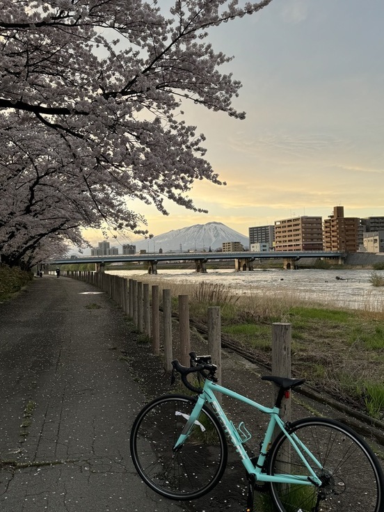 北上川と桜とBianchiと