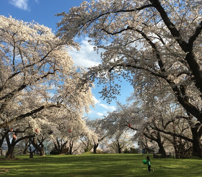【令和8年4月17日掲載】ふるさと岩手の自然風景や歴史的文化遺産など、美しい景観を大事にしていくため「いわての残したい景観」を募集しています！