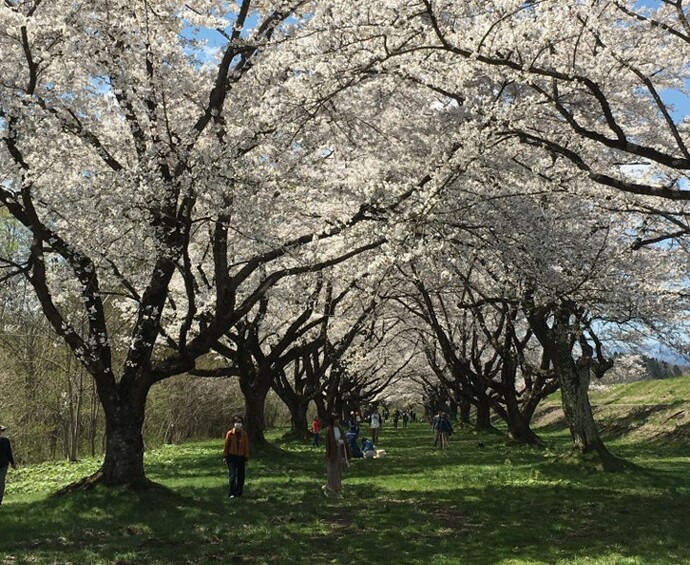 【令和8年4月24日掲載】ふるさと岩手の自然風景や歴史的文化遺産など、美しい景観を大事にしていくため「いわての残したい景観」を募集しています！