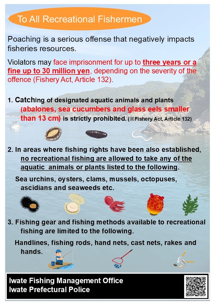 英語版密漁防止チラシ