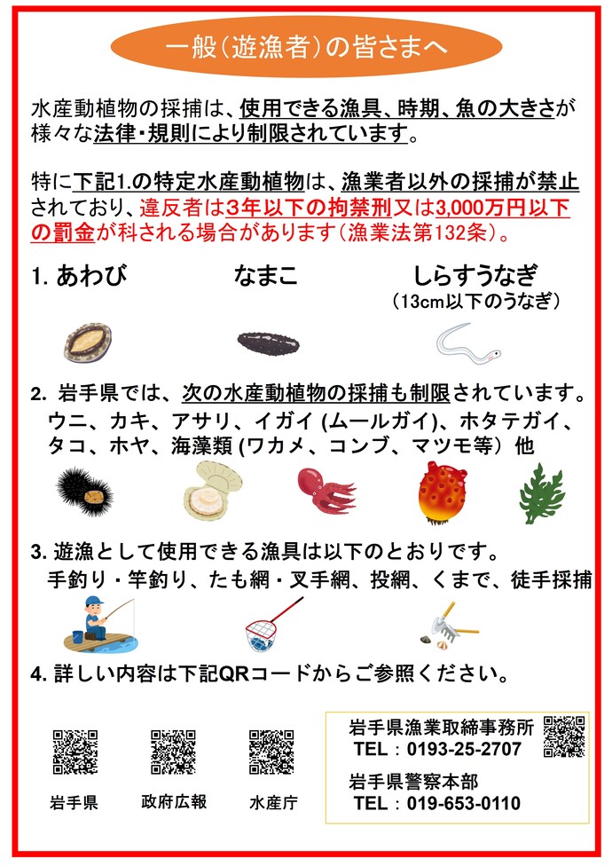 日本語版密漁防止チラシ