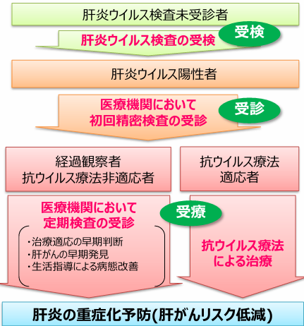 肝炎対策