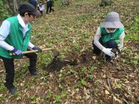 くじらぼ 朱色に染まるレンゲツツジ植樹活動1