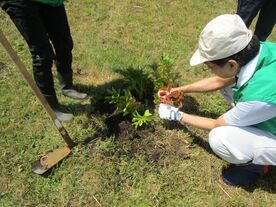 くじらぼ 朱色に染まるレンゲツツジ植樹活動2