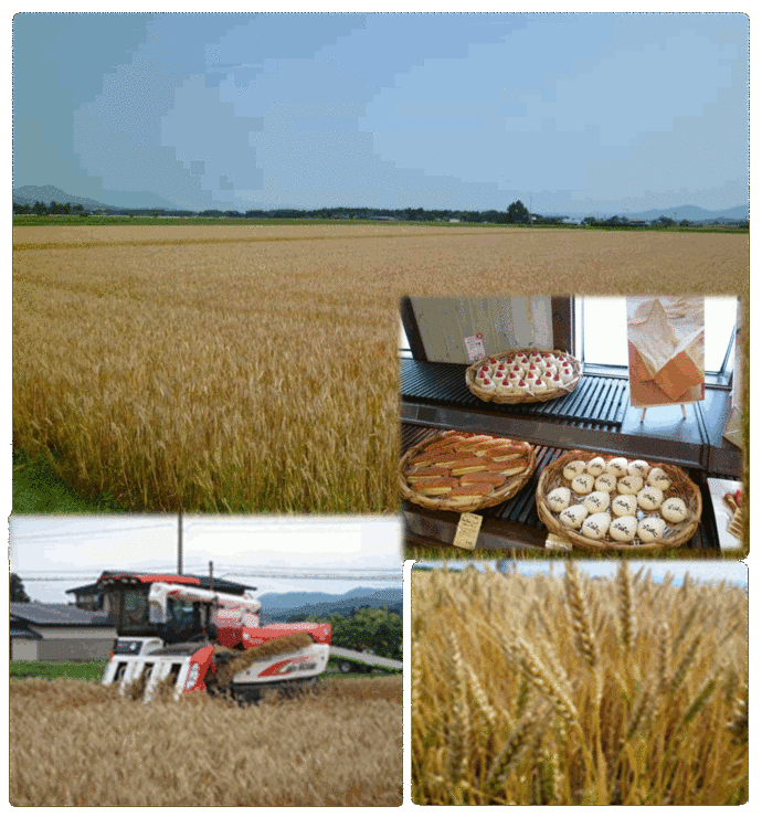 産官等連携による「もち性小麦」を核とした地域振興～もち姫物語～