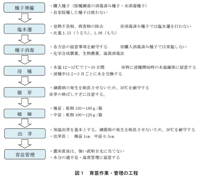 図1