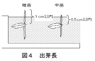 図4