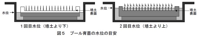 図5