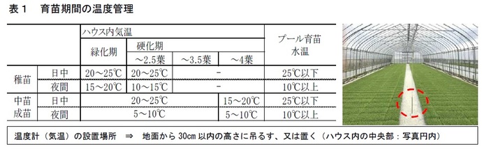 表1