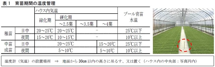 表1