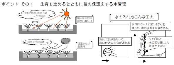 図2　ポイント1