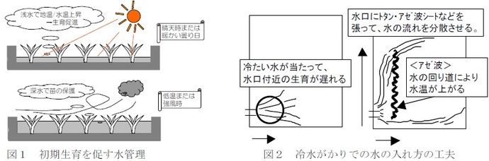 図1　2