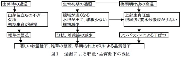 図1　