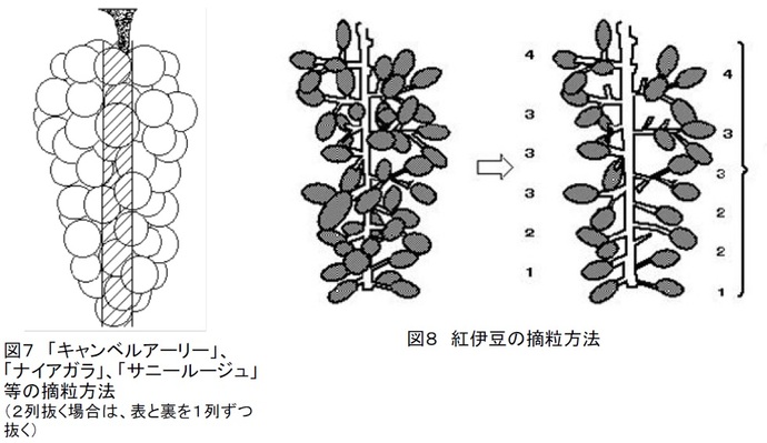 図7