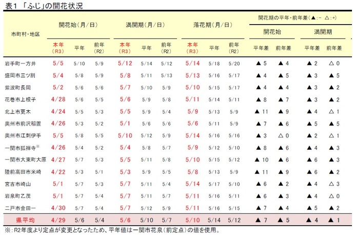 表1　ふじの開花状況