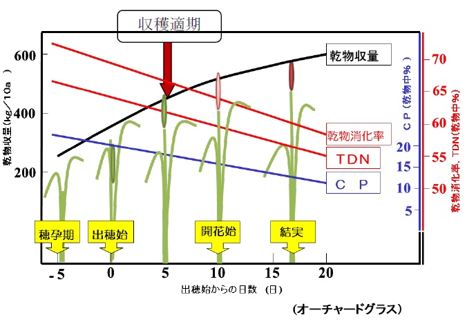 図1